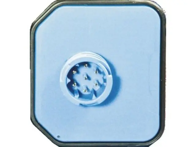 Rear Combination Lamp LC8 with Triangle 