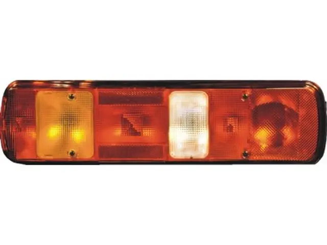 Rear Combination Lamp VOLVO left 