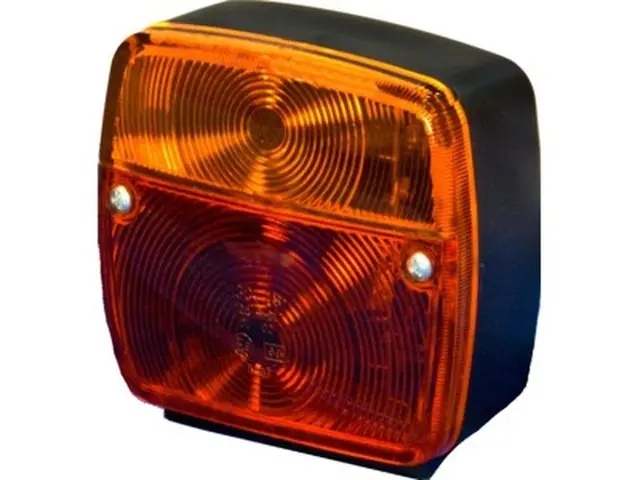 Rear Combination Lamp left right 