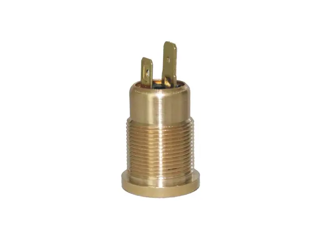 Socket 2-pole 