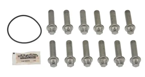 Boltesett Torx E 24 12 stk SAF