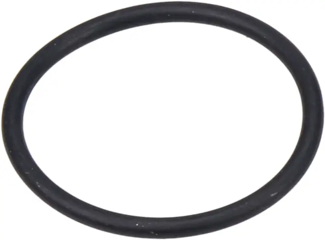 O-Ring Ø49X4 SAF 
