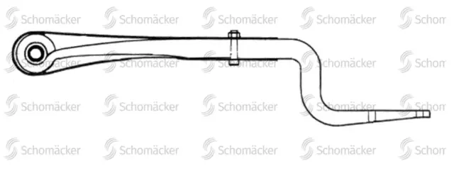 Bakfjær Zorzi Schomächer 