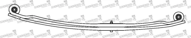 Bakfjær DAF Schomäcker 