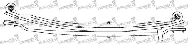 Bakfjær DAF Schomäcker 