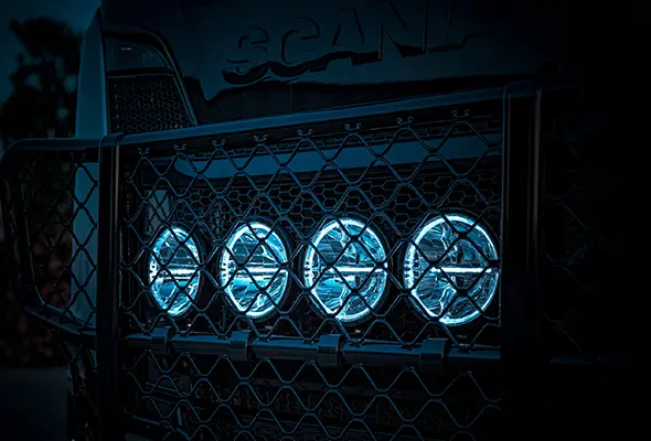 AMBASSADOR 9" FJERNLYS LED Strands Lighting Division 