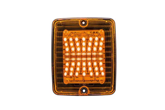IZE LED BLINKLYS LED Strands Lighting Division 
