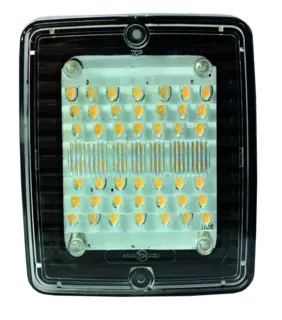 IZE LED RYGGELYS LED Strands Lighting Division