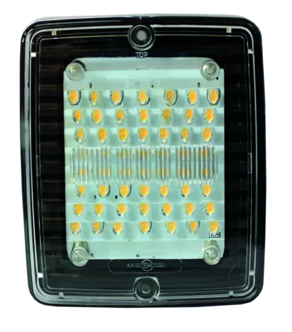 IZE LED RYGGELYS LED Strands Lighting Division