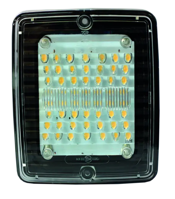 IZE LED RYGGELYS LED Strands Lighting Division 