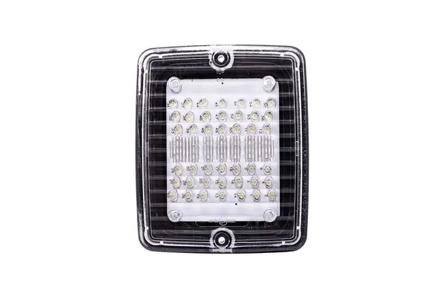 IZE LED RYGGELYS LED Strands Lighting Division 
