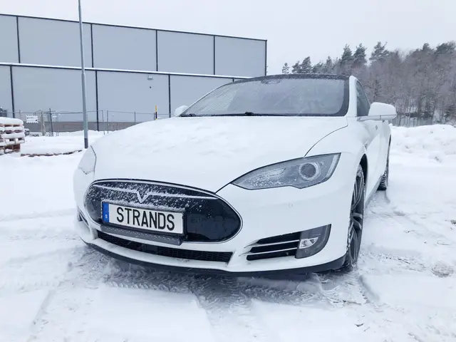 NUUK KIT TILPASSET TESLA MODEL Strands Lighting Division 