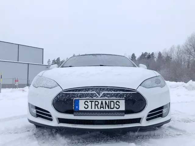 NUUK KIT TILPASSET TESLA MODEL Strands Lighting Division 