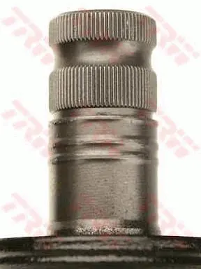 SHOCK ABSORBER PROEQUIP 
