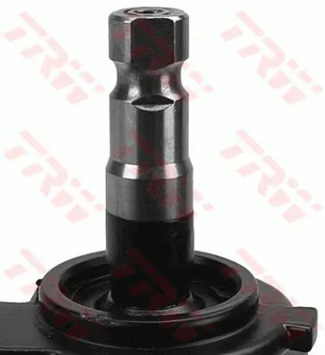 Steering Gear TRW exchange S&S 