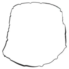 Pakning Ventiltopp Elring