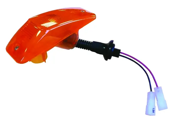DAF turning indicator Vignal 