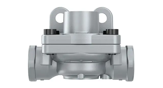 Quick Release Valve 